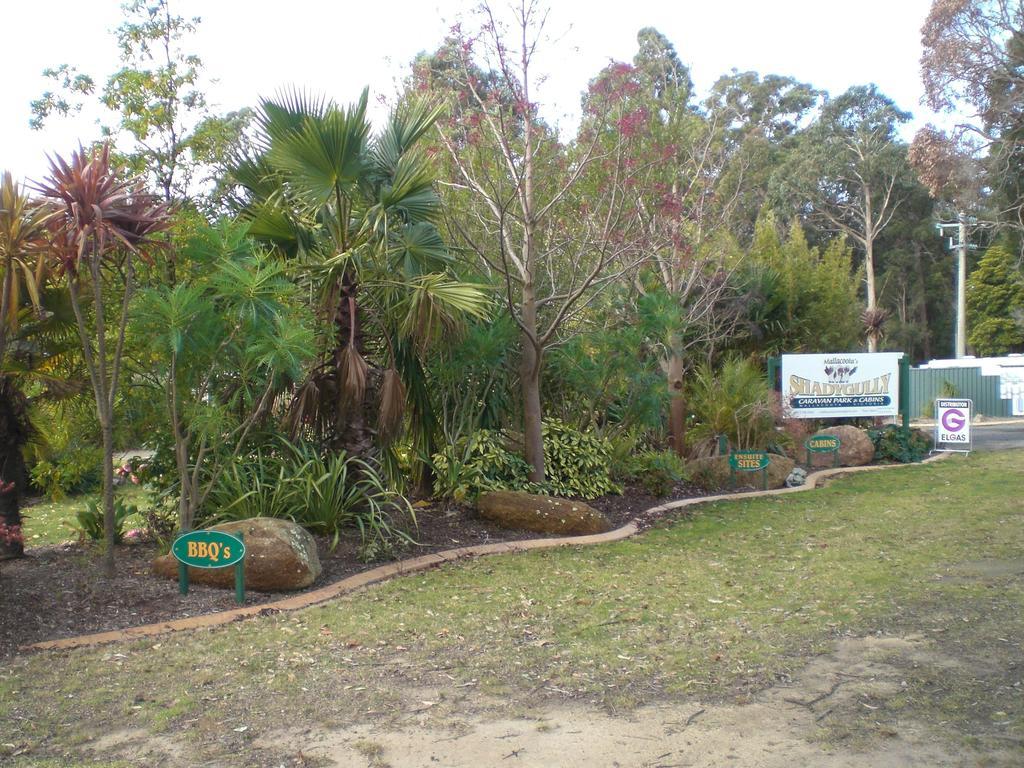 Mallacoota'S Shady Gully Caravan Park Экстерьер фото
