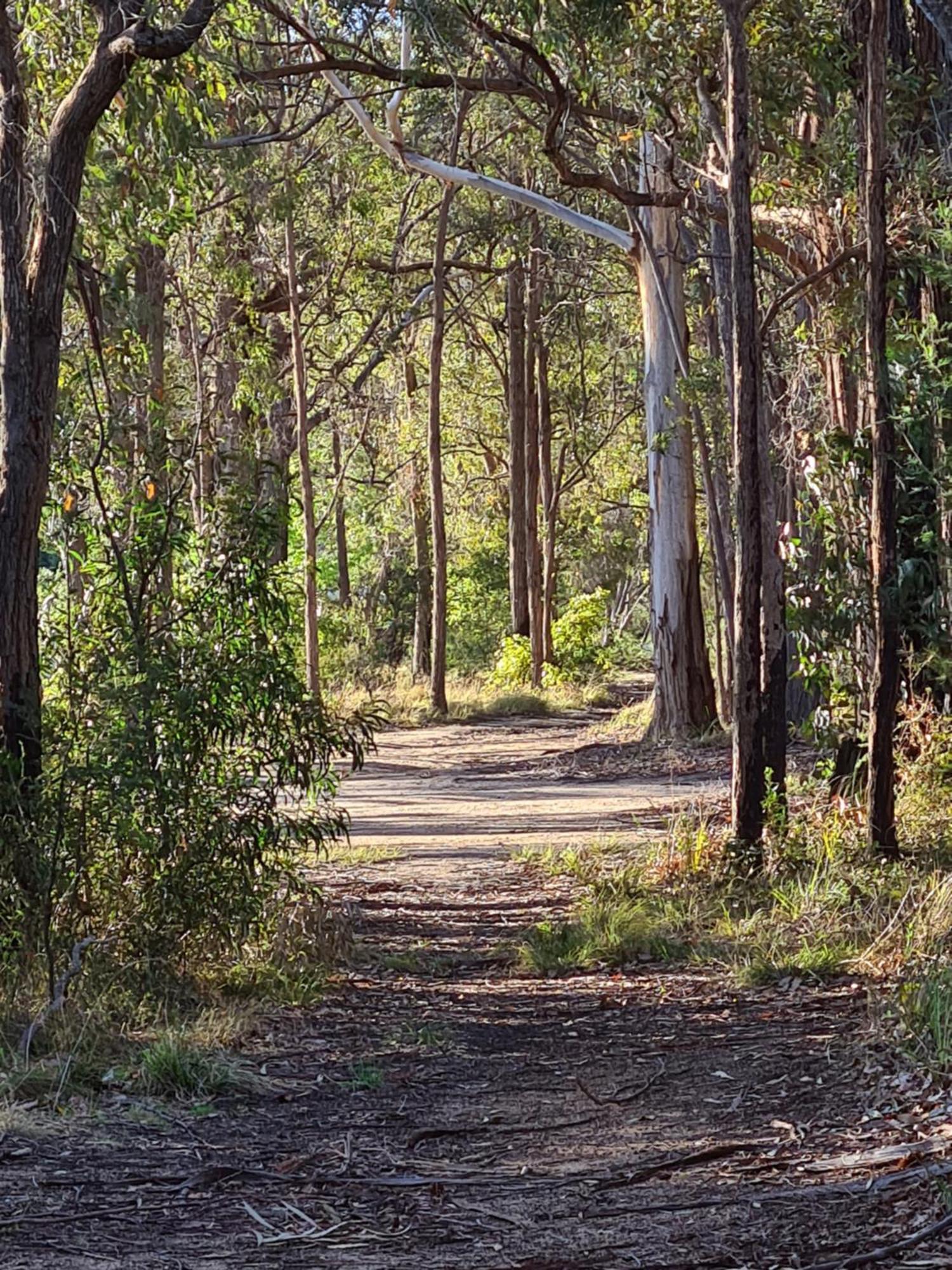 Mallacoota'S Shady Gully Caravan Park Экстерьер фото