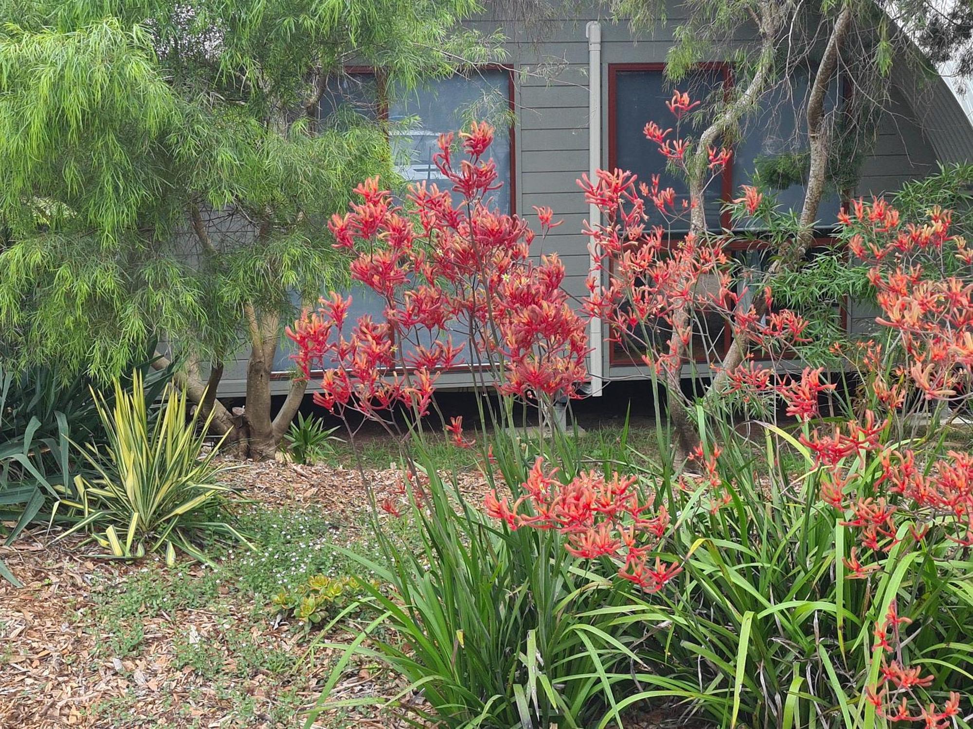 Mallacoota'S Shady Gully Caravan Park Экстерьер фото