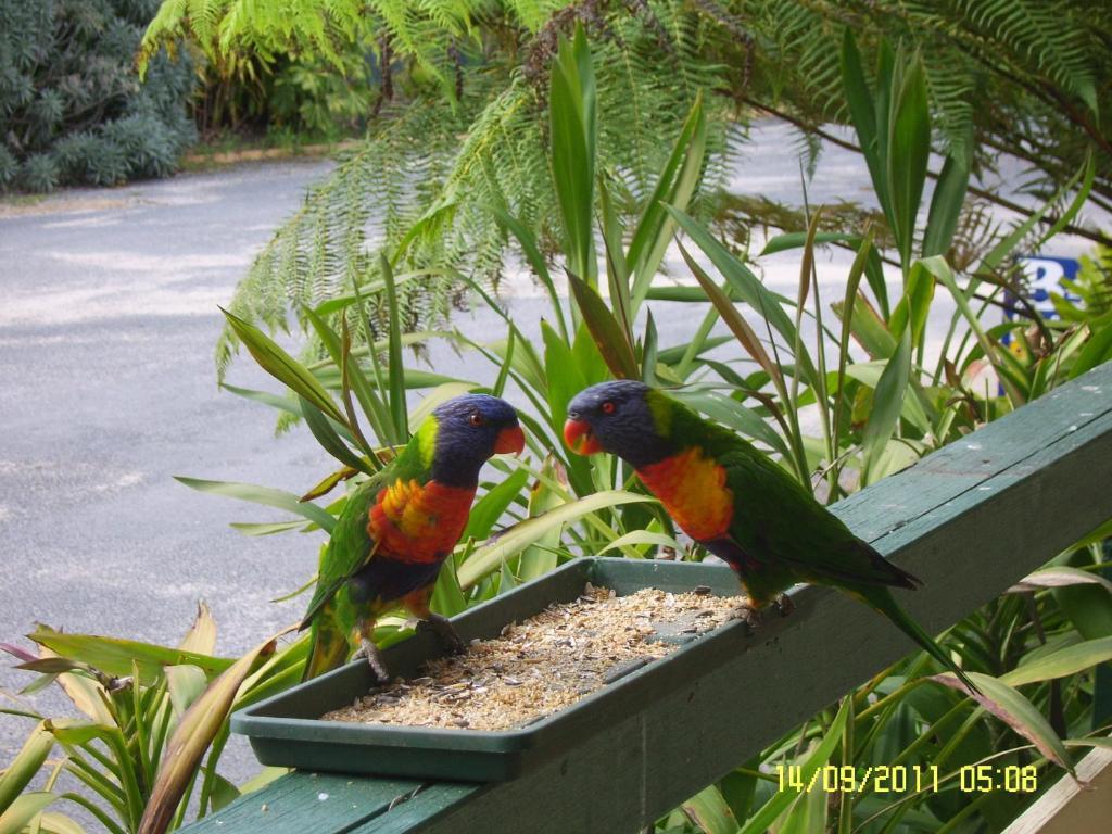 Mallacoota'S Shady Gully Caravan Park Экстерьер фото